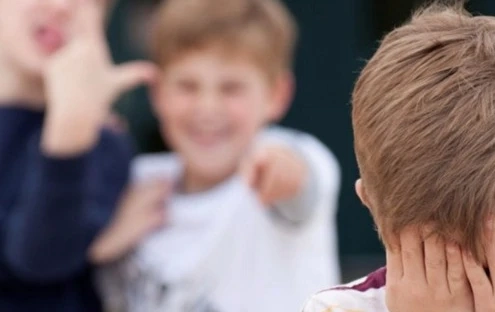 educazione emotiva bullismo