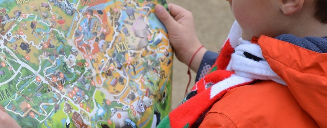 Orientamento scolastico