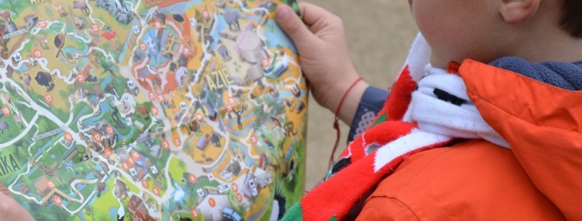 Orientamento scolastico